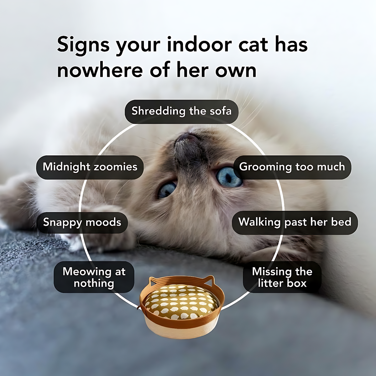 Instinct Basket | Handwoven Natural Rope Territory for Indoor Cats