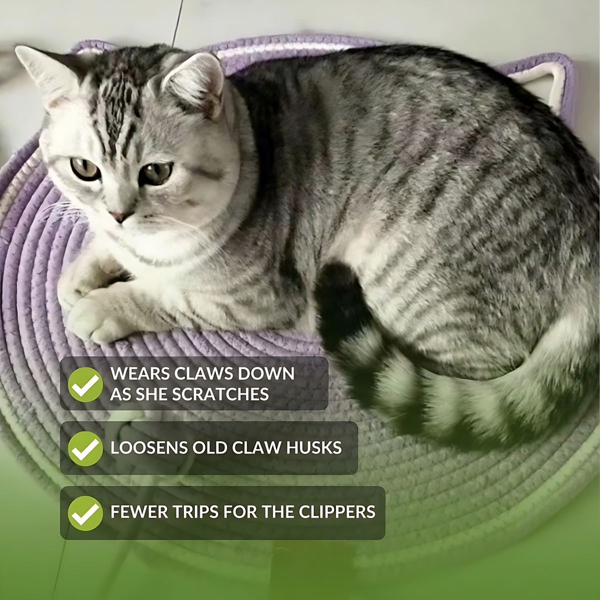 Instinct Mat | The Scratching Mat Her Biology Actually Recognizes