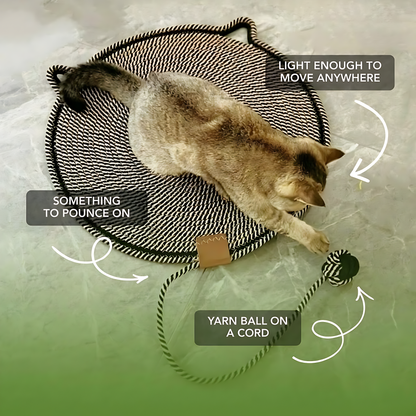 Instinct Mat | The Scratching Mat Her Biology Actually Recognizes
